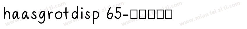 haasgrotdisp 65字体转换